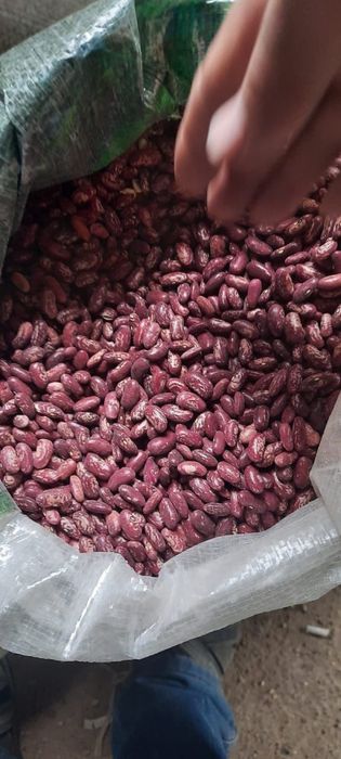 Фасоль красная весовая