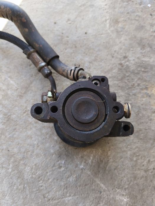 Продам Гур тоета Ипсум