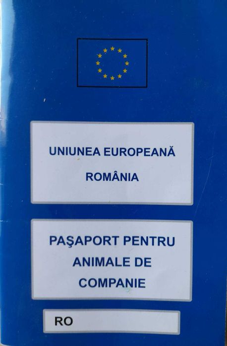 Donez Pisică tigrată (Tigruta)caută cămin iubitor Galati