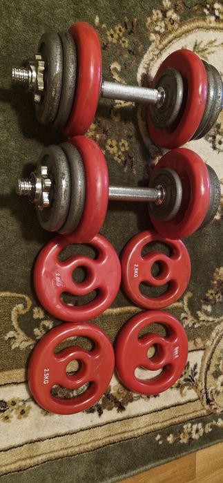 Set gatere reglabile 2×21 kg fiecare