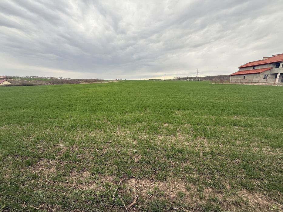 Vând teren Aroneanu  29  € mp toate utilitățile la limita de pro se poate si LOTURII MAI MICI