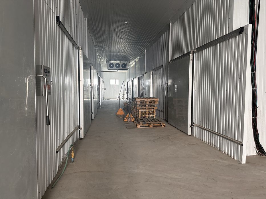 Холодильные камеры для хранения овощей и фруктов, раздельные камеры