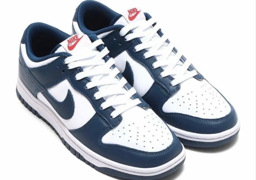 Nike Dunk Low Velarian Blue/White