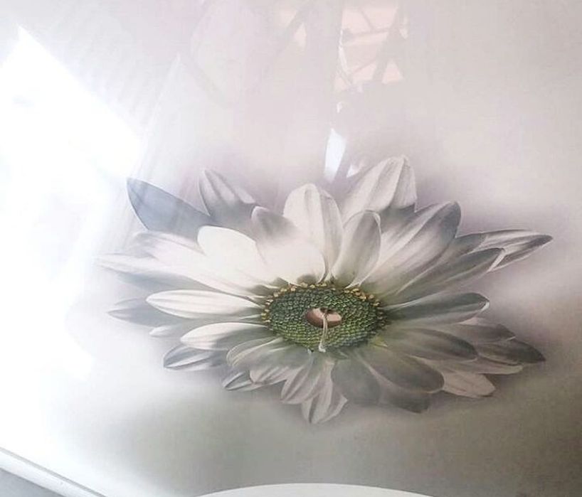 Натяжные потолки! Окна! Двери!