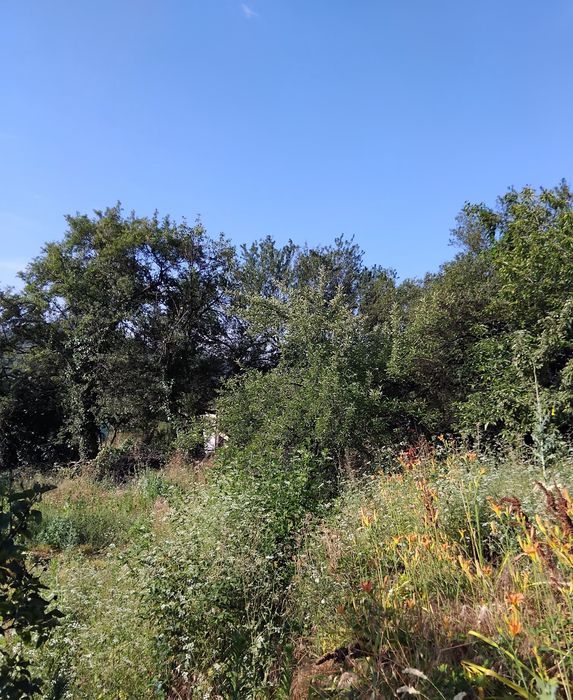 Продава се Къща в с. Баланово, Област Кюстендил - 100 кв.м за 420 €/кв.м - Снимка #6