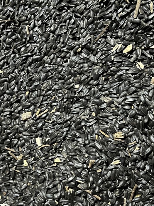 СЕМЕЧКИ 5000тон БЕЗ док