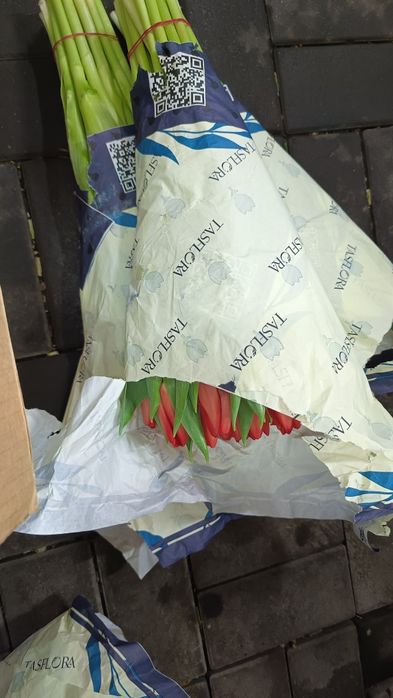 Тюльпаны свежие 25шт банч