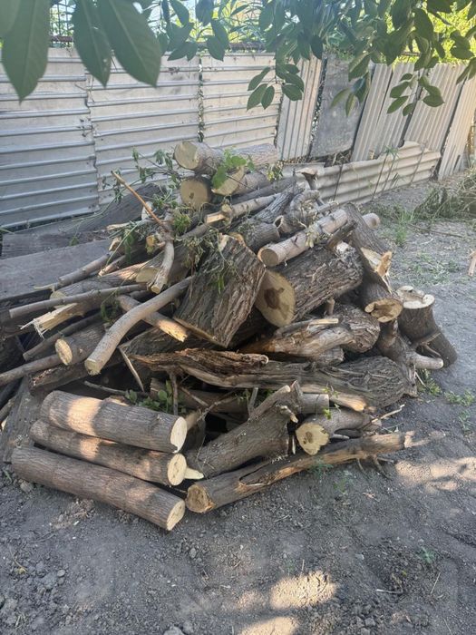 Продам дрова…………