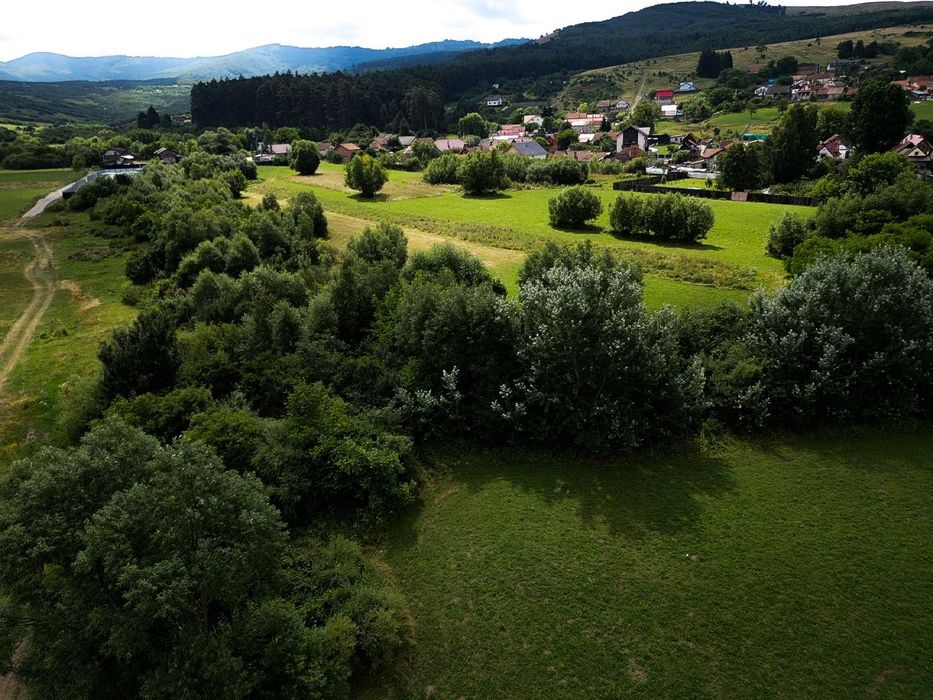 800 mp intravilan sat Purcareni Com Tarlungeni