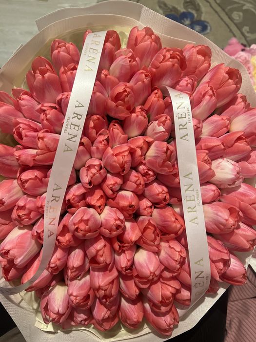 Свежий тюльпан  101 штук