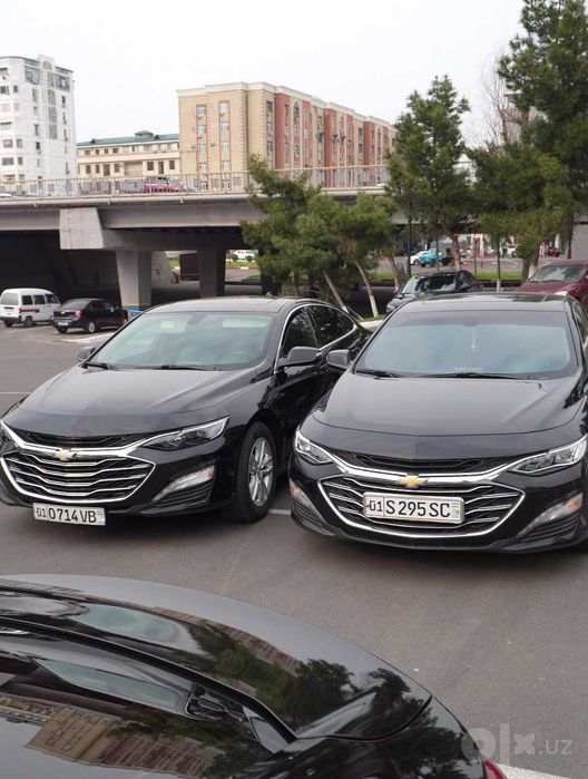 Chevrolet Malibu 2 haydovchi bilan | Biznes transfer | Safarlar