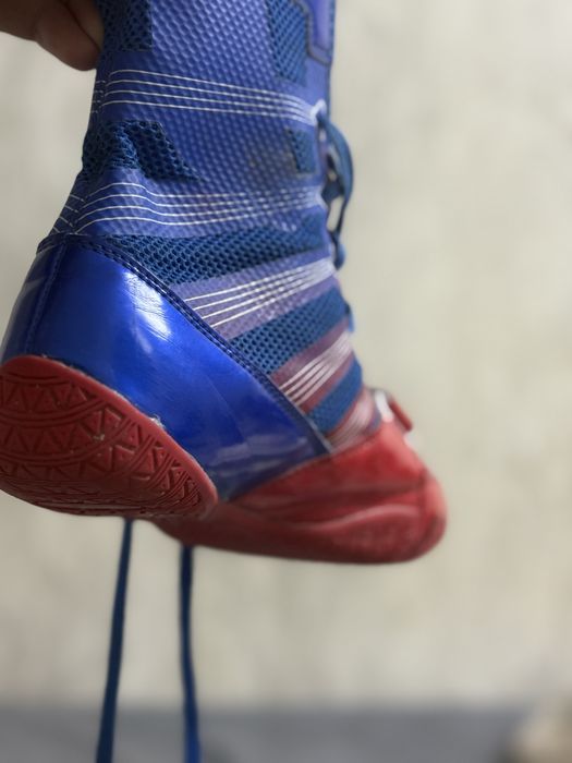 Боксерки5тысь……..