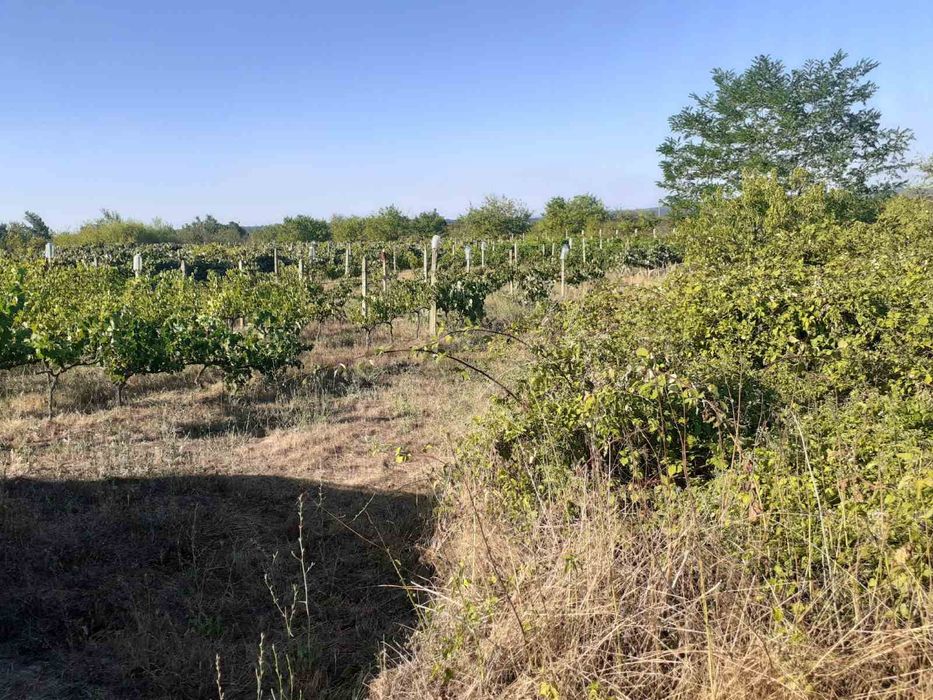 Продава се Парцел в с. Приселци, Област Варна - 1830 кв.м за 47 €/кв.м - Снимка #1