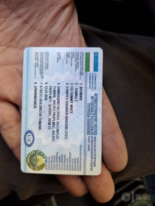 Labo damas 2026yil