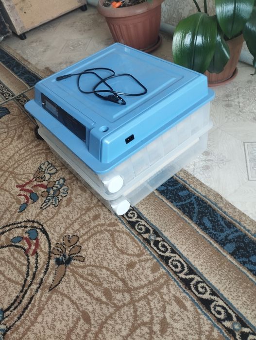 Инкубатор автоматический