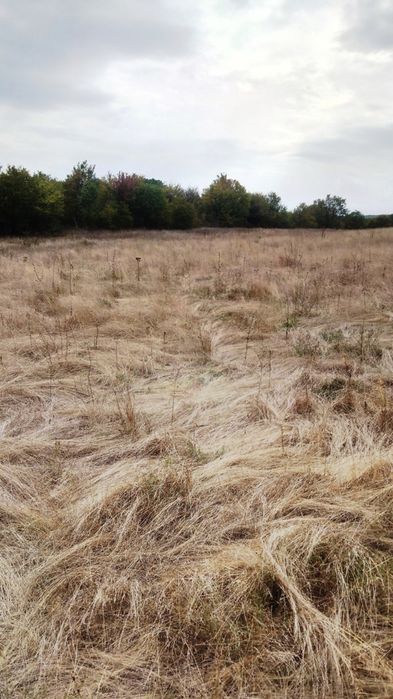 Продава се Земеделски имот в с. Баня, Област Бургас -  кв.м за 1429 €/дка - Снимка #3