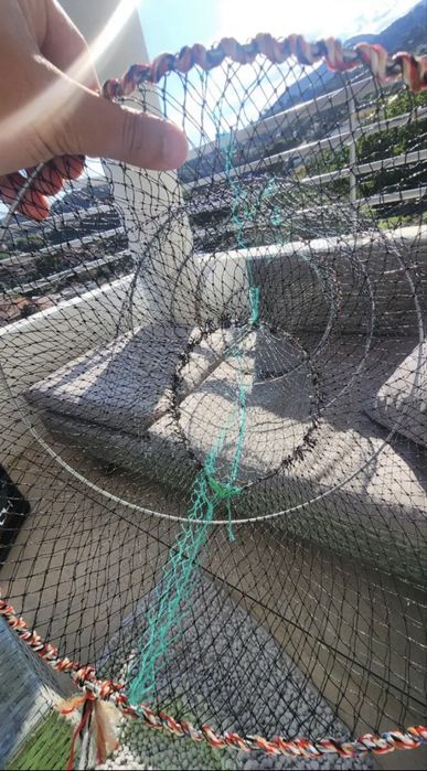 Capcană profesională pentru raci – eficientă și ușor de folosit