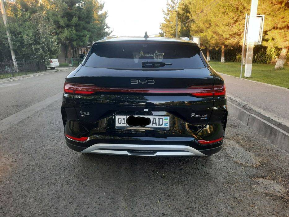 Byd song plyus champion
