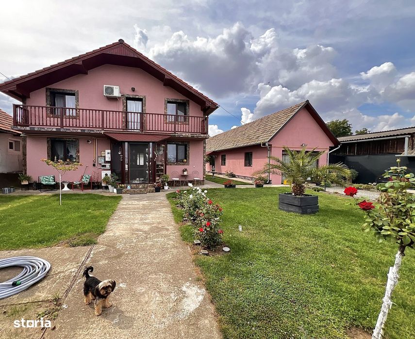 Casa de vânzare + casa mică