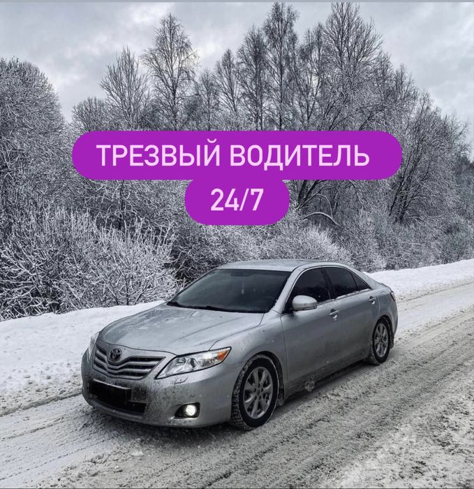 трезвый водитель