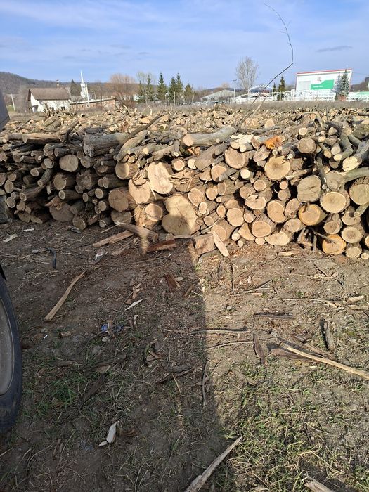 Lemn de foc Carpen Acat Fag