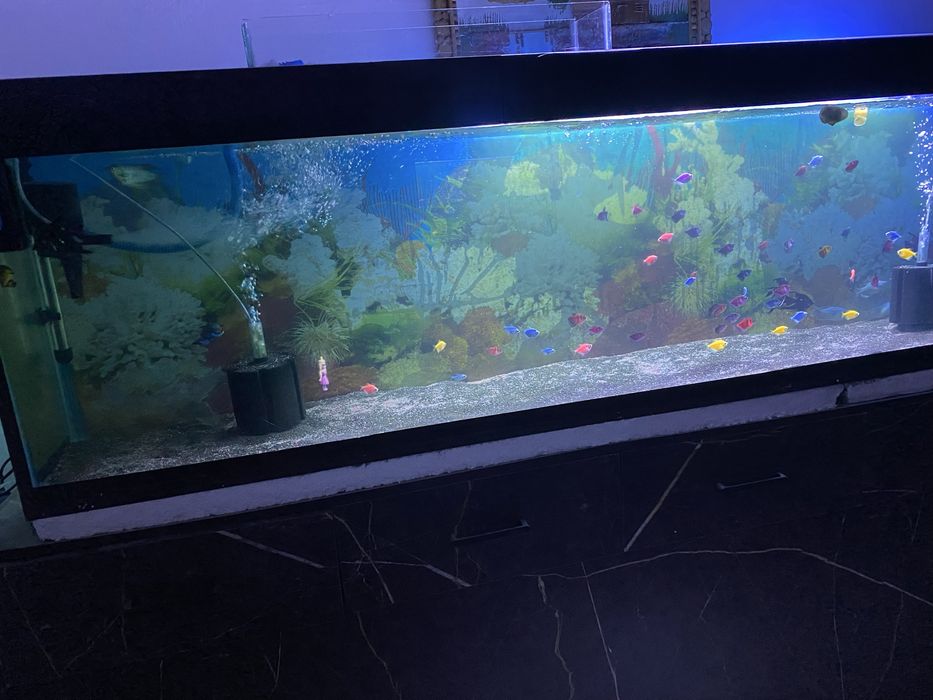 Аквариум сатылады