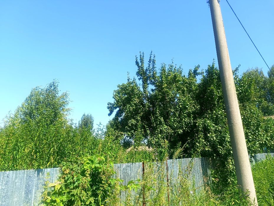 Продам дачу с/т Ёлочка/горизонт