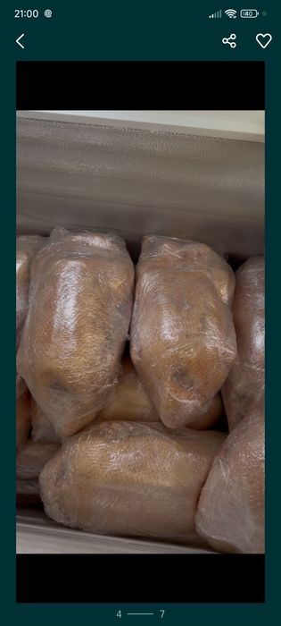 Домашние гуси вкусные
