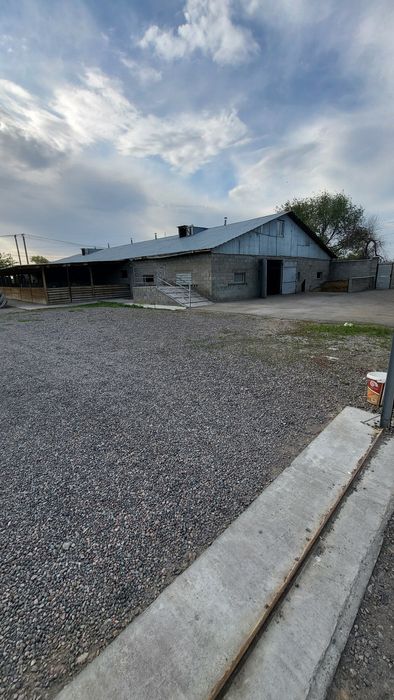 Продам дом с фазендой