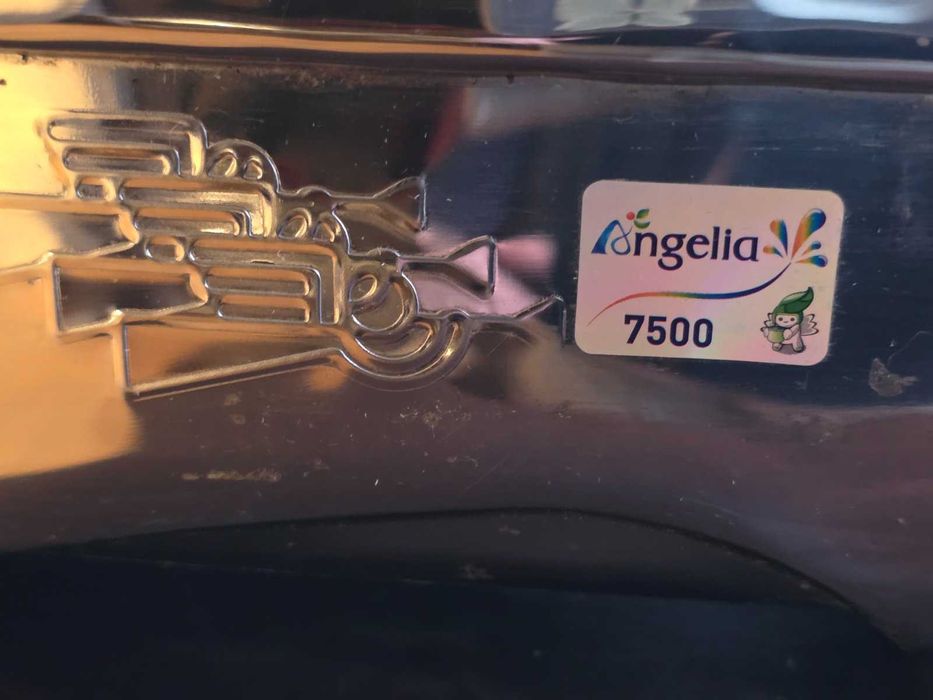 Двувалова студенопресоваща сокоизтизсквачка - Angel 7500 - висок клас