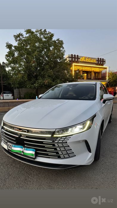 Byd chazor 4 позиция full-120тали