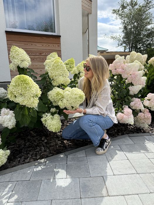 Озеленение и Благоустройство