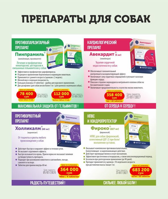 Помощь для домашнего питомца.