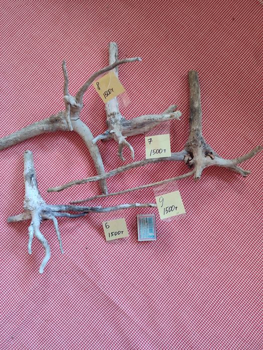 Коряги для поделок или аквариума