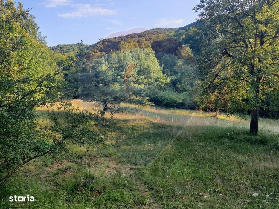 Poiană pentru cabana de vanzare intravilan Coas