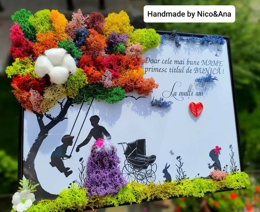 Vând aranjamente,tablouri si ceasuri cu lichieni stabilizați