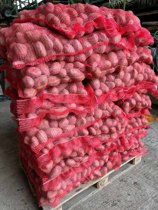 Cartofi rosii cu miezul galben