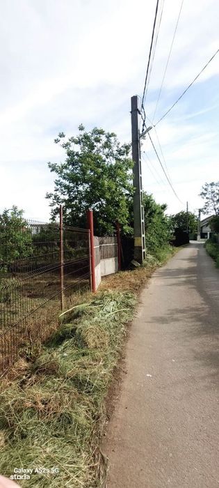 Teren de vanzare Dascalu-Ilfov