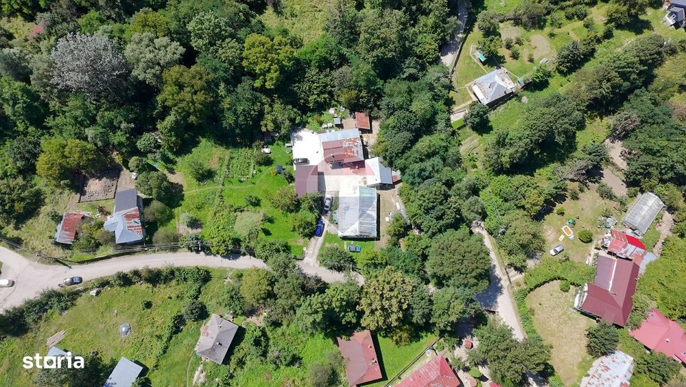 Teren Intravilan 8.277 mp Provița de Jos – Utilități, Râu & Pădure