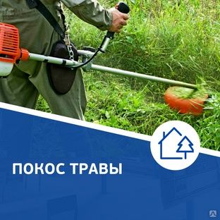 Покос Травы Треммером 24/7