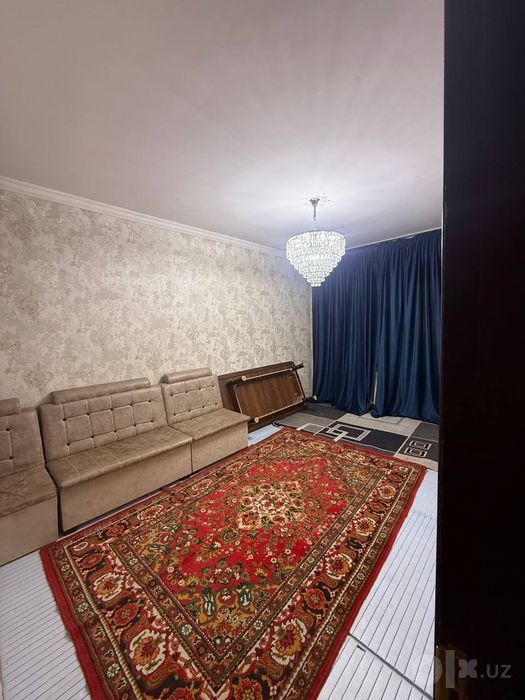 Serigili 3-bekat qizlar bilan sheriklikka