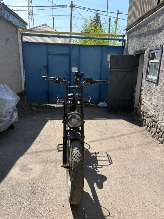 Электро велик леопард