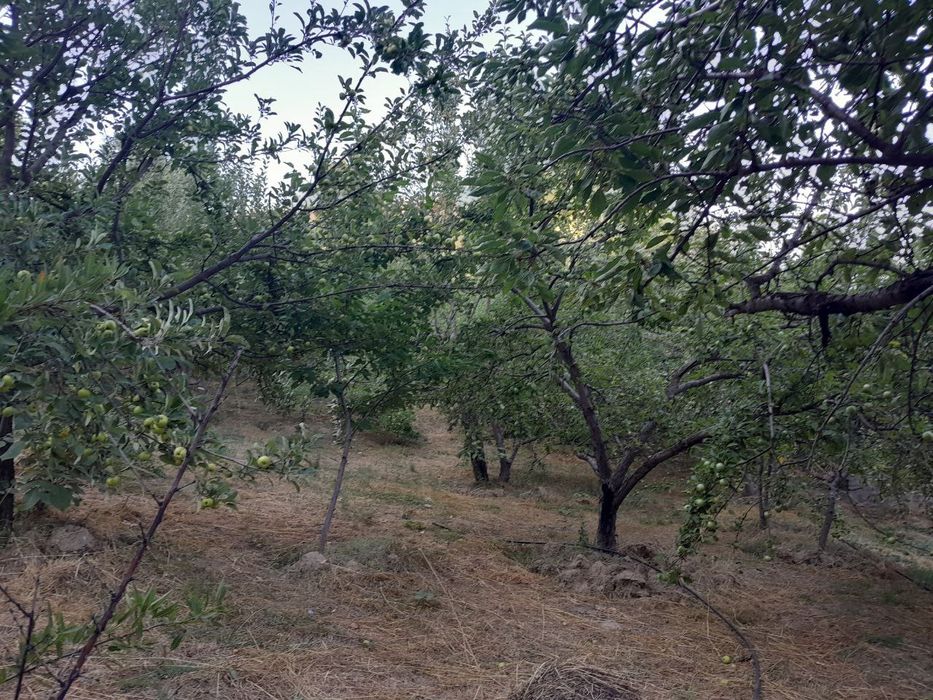 Yer uchastkasi sotiladi