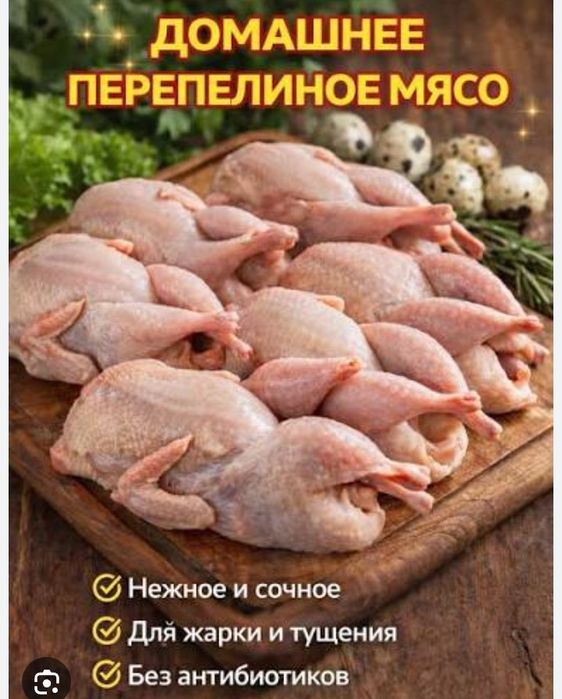 Перепелиные мясо домашние