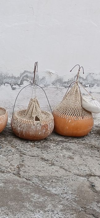 Bedana qovoqlari naqishli