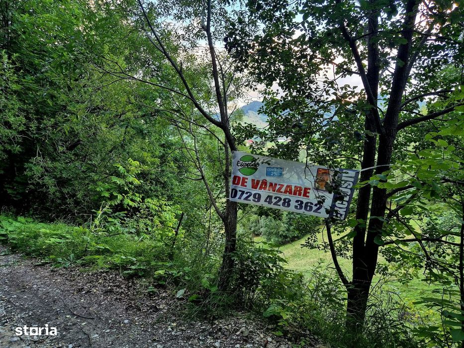 Teren investitie 8635 mp extravilan , Pestera Brasov