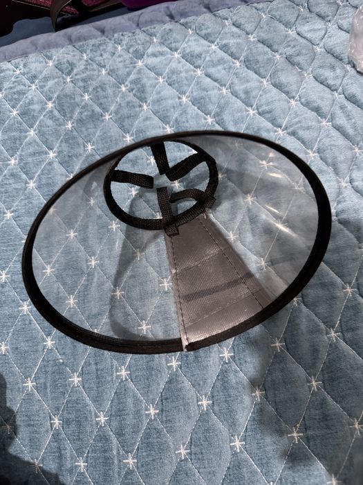 Воротник защитный для животных