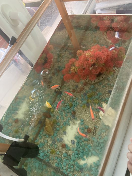 Аквариум сатылады 60литр