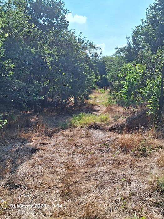 Парцел със стара къща за събаряне