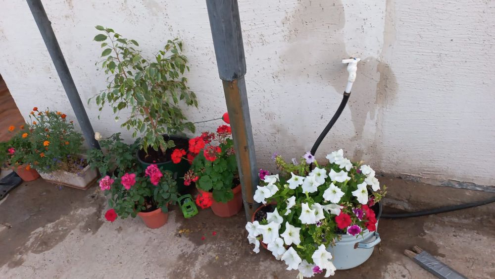 Продается дом чистично с мебелью